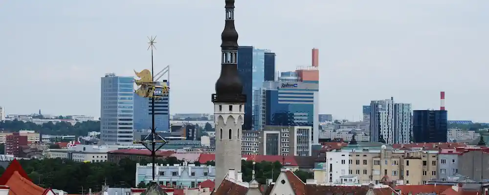 Detektiv in Estland im Einsatz
