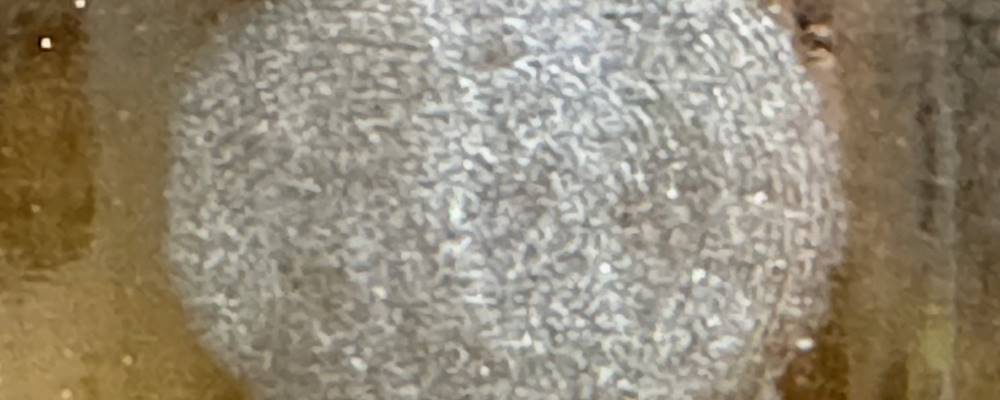 Ein sichtbar geamchter Fingerabdruck auf einem Glas