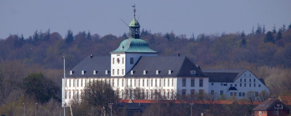Detektive für Schleswig