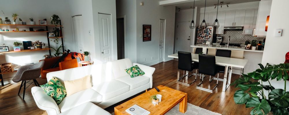 Kameras und Wanzen aufspüren